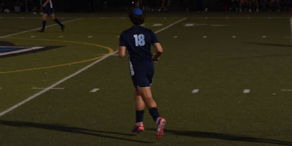 A photo of one of our lions in action