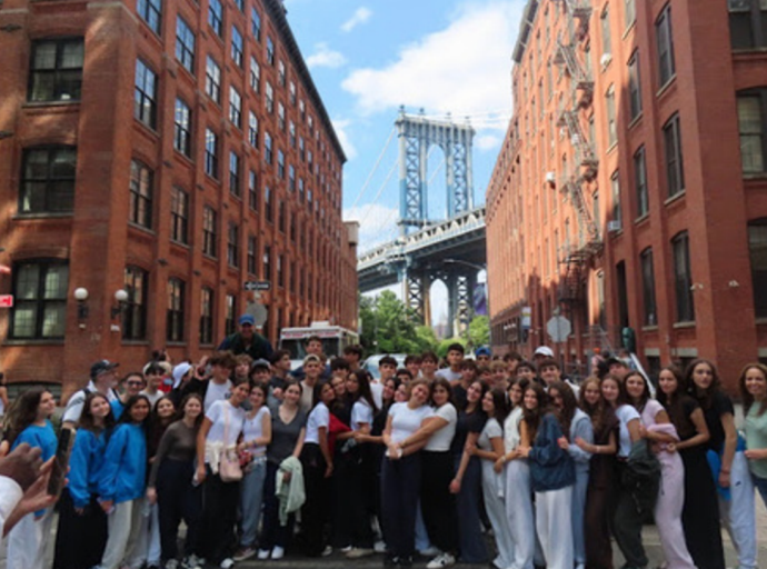 A photo of the junior class under the Brooklyn Bridge