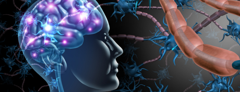 The Neuroscience Page