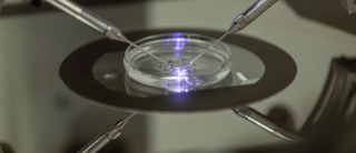 A photo of the genetic testing process - Credit: The Wall Street Journal