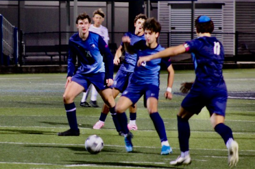 Lions in action!